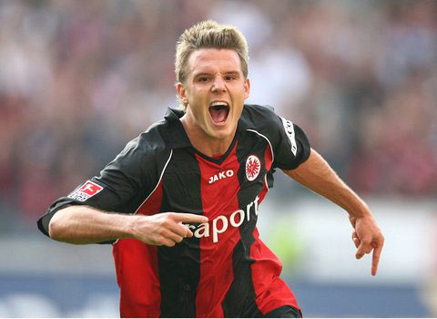 精心设计的 精心设计的